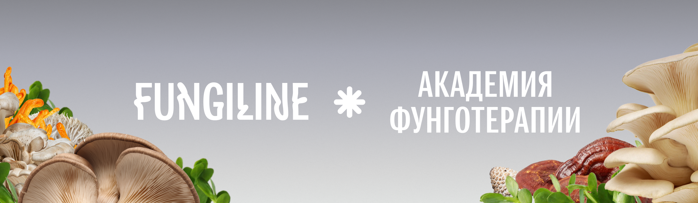 Фунгоакадемия Fungiline