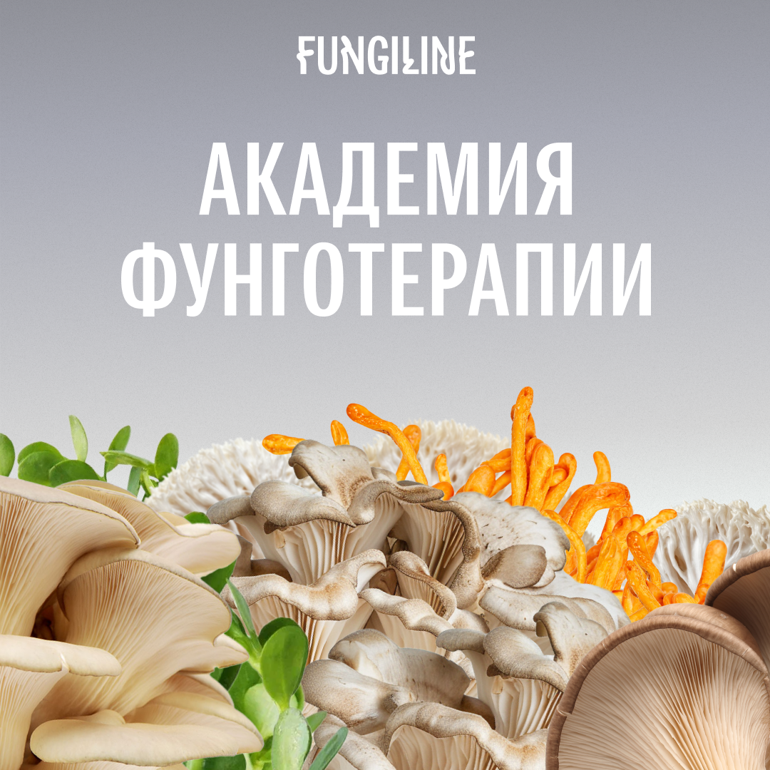 Фунгоакадемия Fungiline